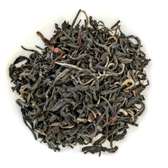 Secret Forest Vietnam