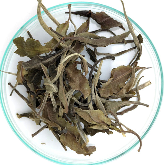 Weißtee Gushu Thailand