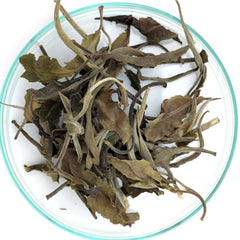 Weißtee Gushu Thailand